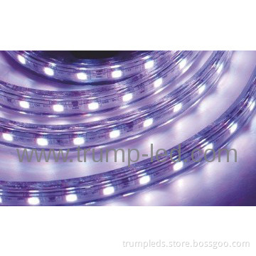 Ruban bandeau LED Strip 60 LED/m - IP65 - 220V